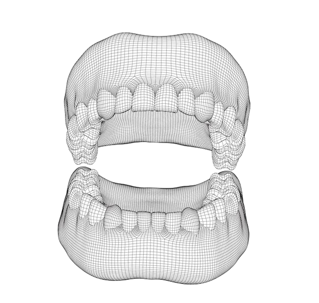 Premium Vector _ Human jaw 3d vector layout medicine and health-Photoroom