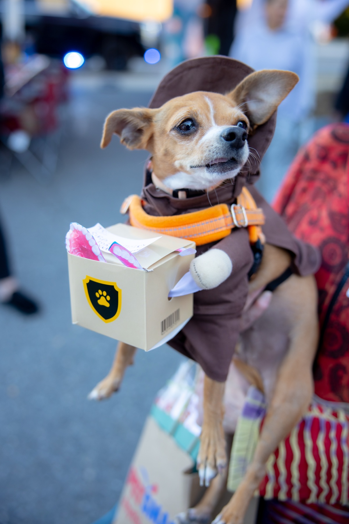 A dog in a delivery-driver costume at SiRa’s 2025 event
